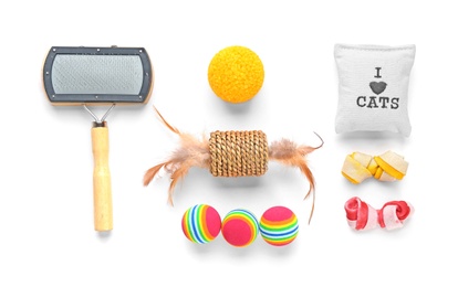 Cat's accessories on white background