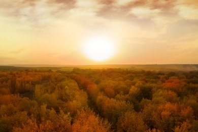 Aerial view of beautiful autumn forest and sun