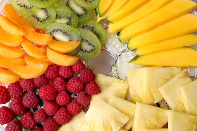 Cut fruits on dehydrator machine tray, above view