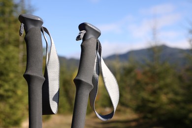 Trekking poles in forest on sunny day, closeup. Space for text