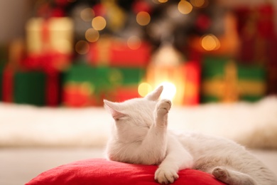 Cute white cat on pillow in room decorated for Christmas. Adorable pet