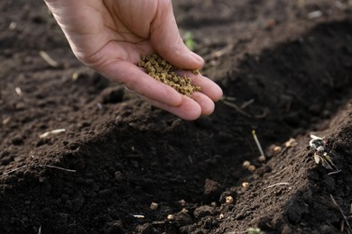 Man pouring beet seeds into fertile soil outdoors, closeup