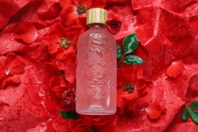 Wet bottle of essential oil and flowers on red crumpled paper, flat lay