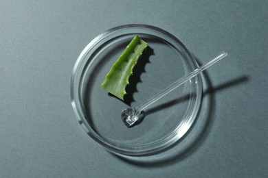 Photo of Petri dish with aloe vera and glass stirring rod on dark grey background, top view