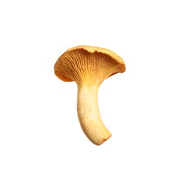Fresh wild chanterelle mushroom isolated on white
