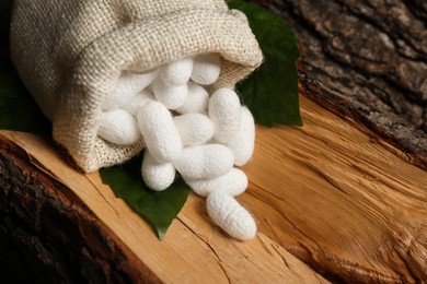 Photo of White silk cocoons with sackcloth bag and mulberry leaves on tree bark, closeup