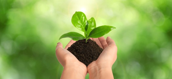 Closeup view of woman holding small plant in soil on blurred background, banner design. Ecology protection