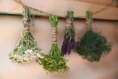 Bunches of different beautiful dried flowers hanging on rope near beige wall