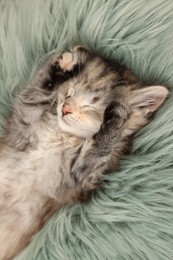 Cute kitten sleeping on fuzzy rug, above view