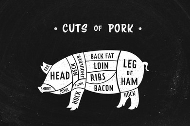 Butcher's guide: Cuts of pork scheme. Illustration of pig on black background
