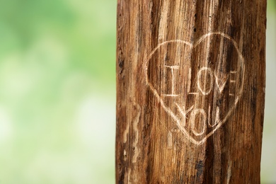 Photo of Phrase I Love You carved on tree bark outdoors