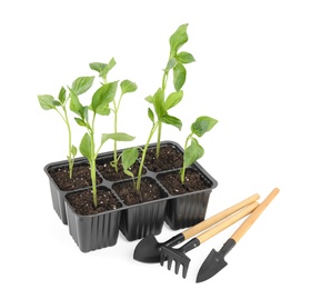 Photo of Vegetable seedlings and garden tools isolated on white