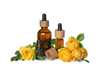 Bottles of rose essential oil and flowers on white background