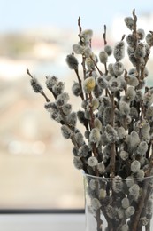 Beautiful pussy willow branches in glass vase near window indoors, closeup