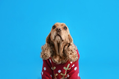 Adorable Cocker Spaniel in Christmas sweater on light blue background