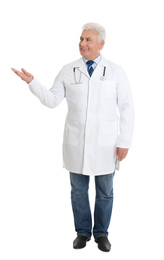 Full length portrait of senior doctor on white background