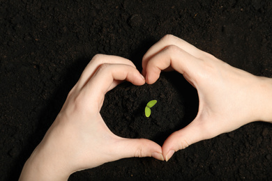 Woman making heart with hands near green seedling on soil, top view
