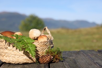 Basket with mushrooms, fern leaves, cone and moss on wooden table outdoors. Space for text