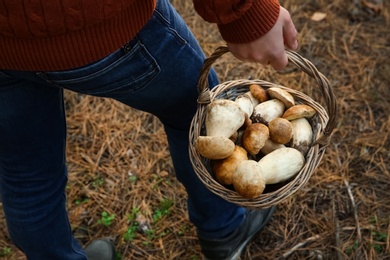 Man holding basket with porcini mushrooms in forest, closeup