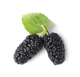 Two black mulberries with leaf on white background, top view