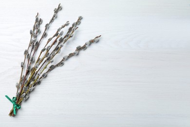 Beautiful bouquet of pussy willow branches on white wooden background, top view. Space for text