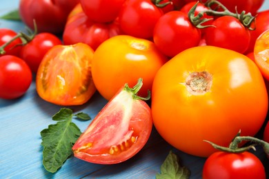 Many different ripe tomatoes on light blue wooden table, closeup