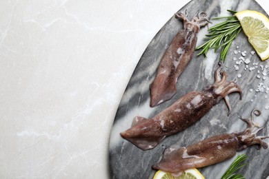 Photo of Fresh raw squids with lemon, rosemary and salt on light grey marble table, top view. Space for text
