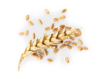 Pile of wheat grains and spike on white background, top view