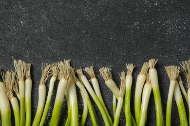 Fresh green onion on black table, flat lay. Space for text