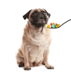 Cute pug dog and spoon full of different pills on white background. Vitamins for animal 