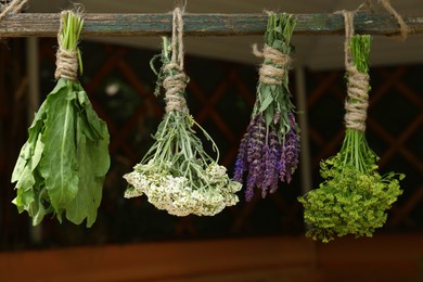 Bunches of different beautiful dried flowers hanging on wooden stick indoors