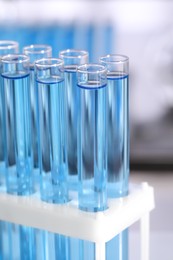 Test tubes with reagents in rack on blurred background, closeup. Laboratory analysis