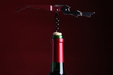 Opening bottle of wine with corkscrew on burgundy background