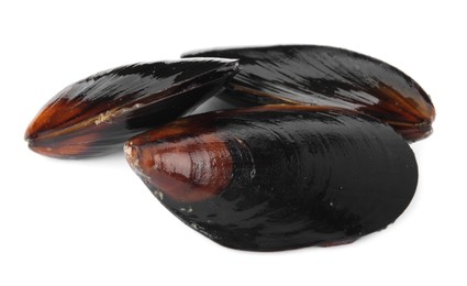 Raw mussels in shells on white background