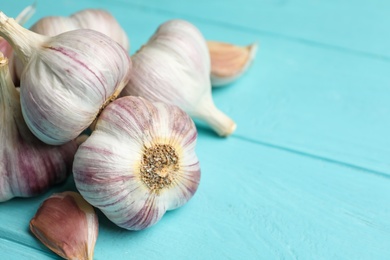 Fresh unpeeled garlic bulbs and cloves on light blue wooden table, closeup with space for text. Organic product