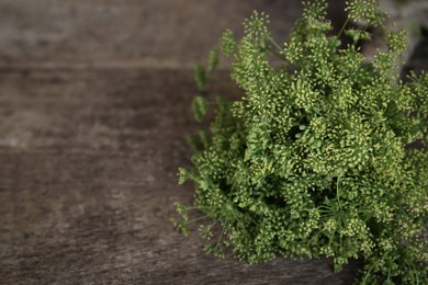Photo of Bunch of beautiful blossom dill on wooden table, closeup. Space for text