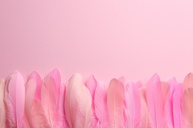 Beautiful feathers on pink background, flat lay. Space for text