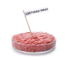 Petri dish with raw minced cultured meat and toothpick label on white background