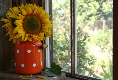 Photo of Bouquet of beautiful sunflowers in tin near window. Space for text