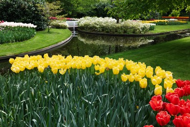 Park with beautiful flowers and water canal. Spring season