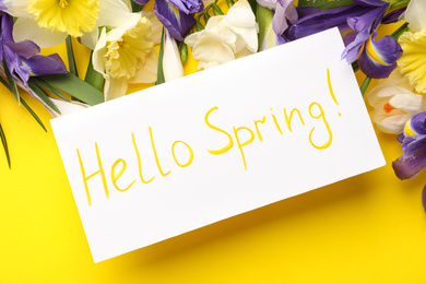Card with words HELLO SPRING and fresh flowers on yellow background, flat lay