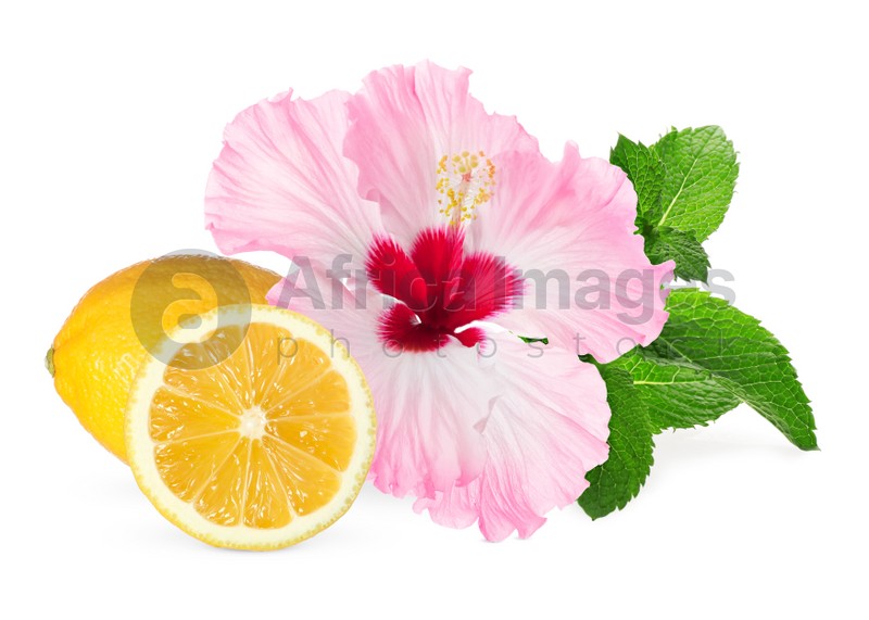 Beautiful hibiscus flower, juicy ripe lemon and mint on white background