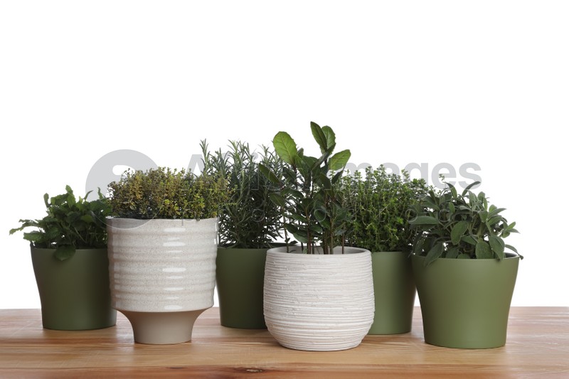 Photo of Pots with thyme, bay, sage, mint and rosemary on wooden table against white background