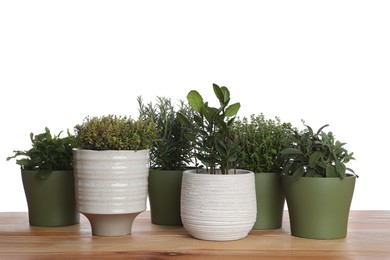 Pots with thyme, bay, sage, mint and rosemary on wooden table against white background