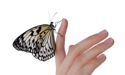 Photo of Woman holding beautiful rice paper butterfly on white background, closeup