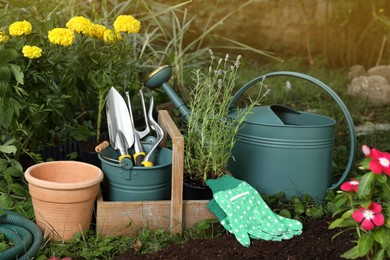 Beautiful flowers and gardening tools on soil at backyard