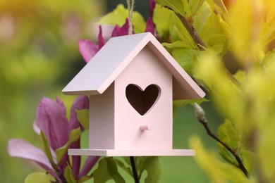 Pink bird house on blooming magnolia tree outdoors