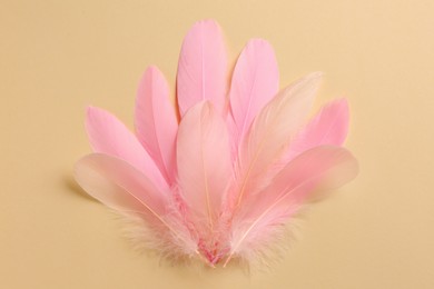 Beautiful pink feathers on beige background, top view