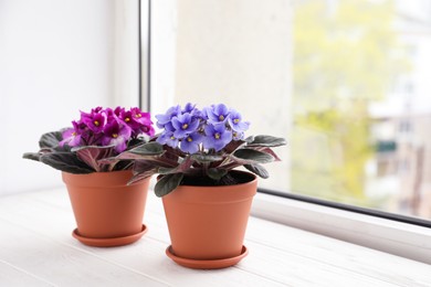 Beautiful potted violets on white wooden window sill, space for text. Delicate house plants