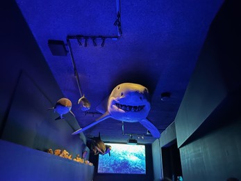 Photo of Leiden, Netherlands - November 19, 2022: Museum exhibition with Shark stuffed animals. Environmental education